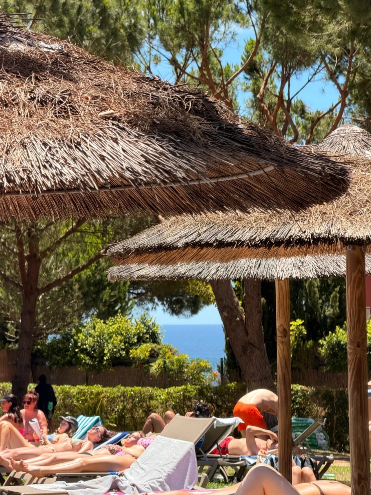 Apartamento T1 para Venda em Albufeira e Olhos de Água Foto 50