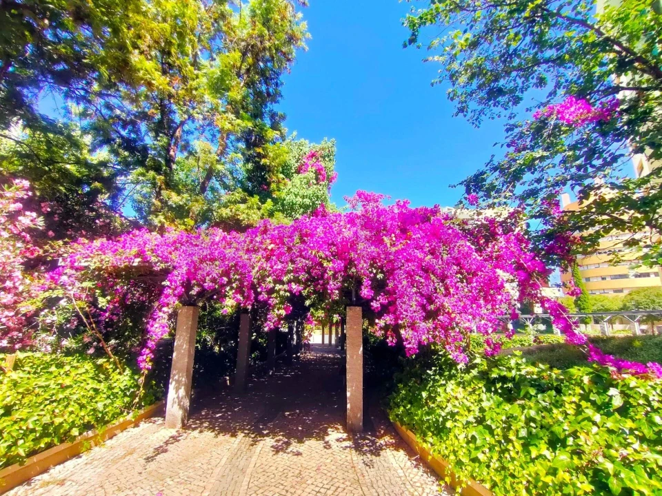 Apartamento T3 para Venda em Parque das Nações Foto 33