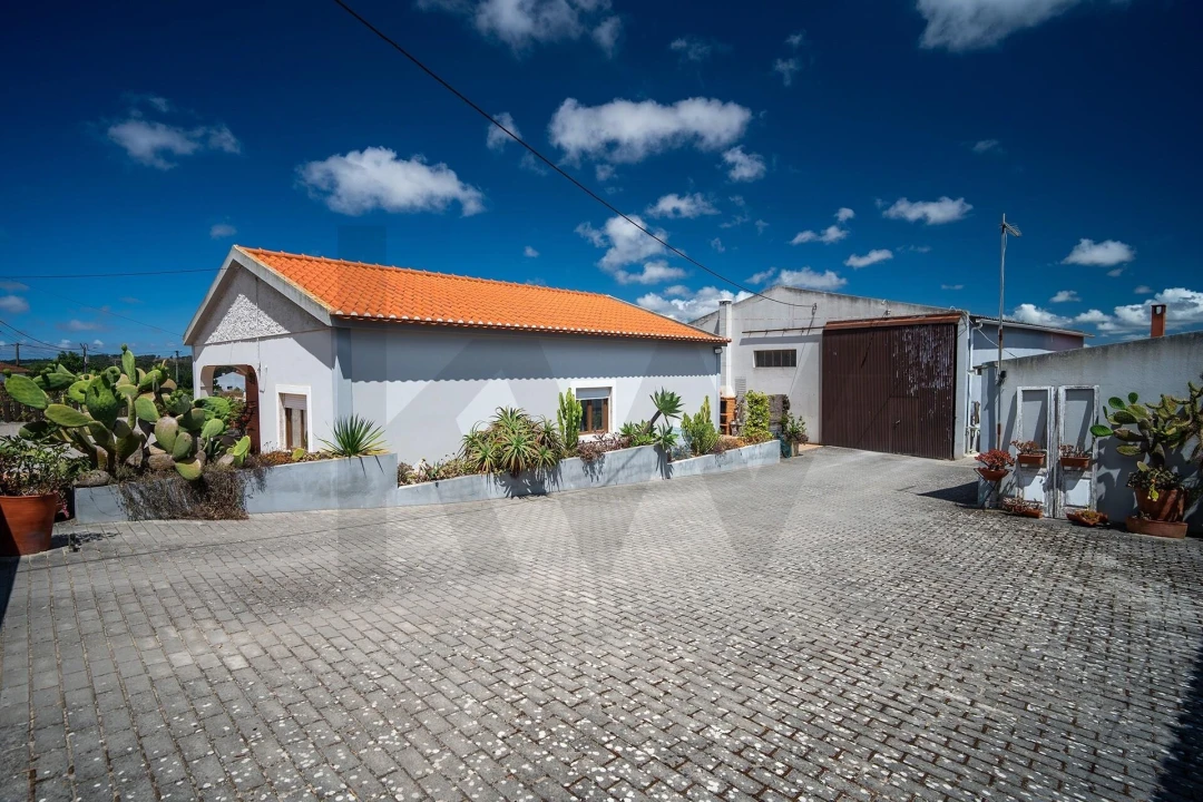 Moradia T3 para Venda em Santa Maria, São Pedro e Matacães Foto 2