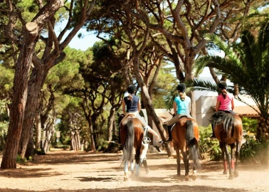 Terreno para Venda em Cascais e Estoril
