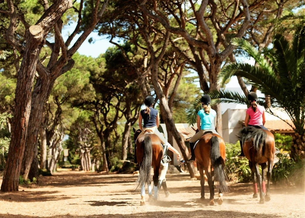 Terreno para Venda em Cascais e Estoril Foto 13