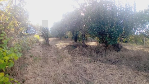 Moradia T3 para Venda em Soure