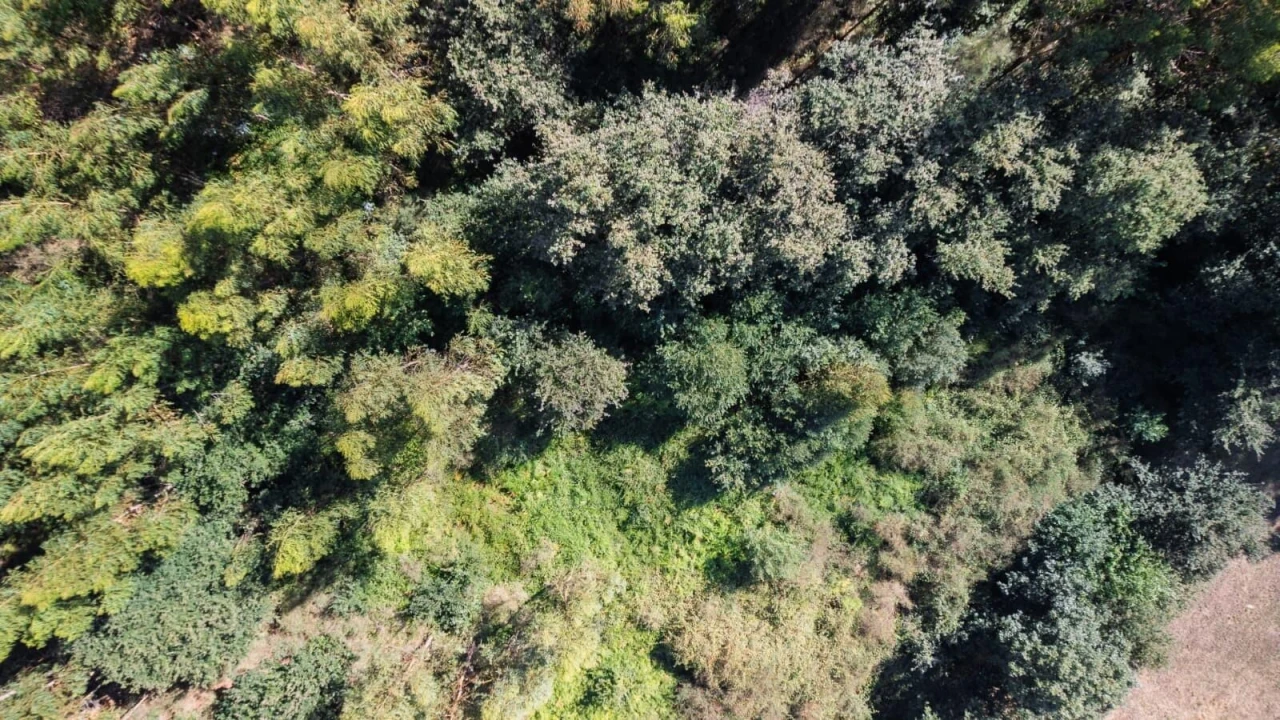 Terreno para Venda em Refojos de Basto, Outeiro e Painzela Foto 4
