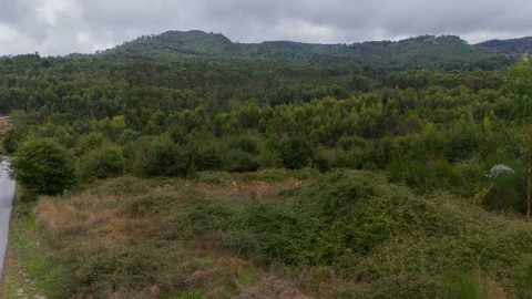 Terreno para Venda em Refojos de Basto, Outeiro e Painzela