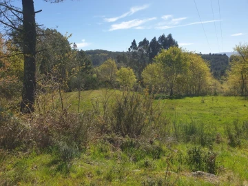 Terreno para Venda em Refojos de Basto, Outeiro e Painzela