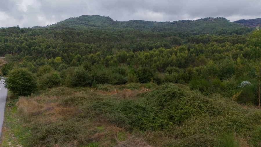 Terreno para Venda em Refojos de Basto, Outeiro e Painzela Foto 2
