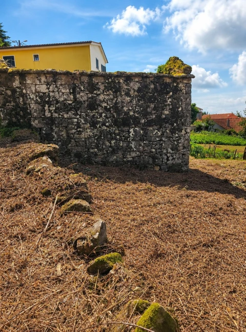 Terreno para Venda em Fornelo do Monte