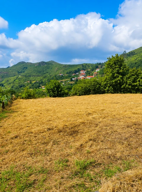 Terreno para Venda em Fornelo do Monte