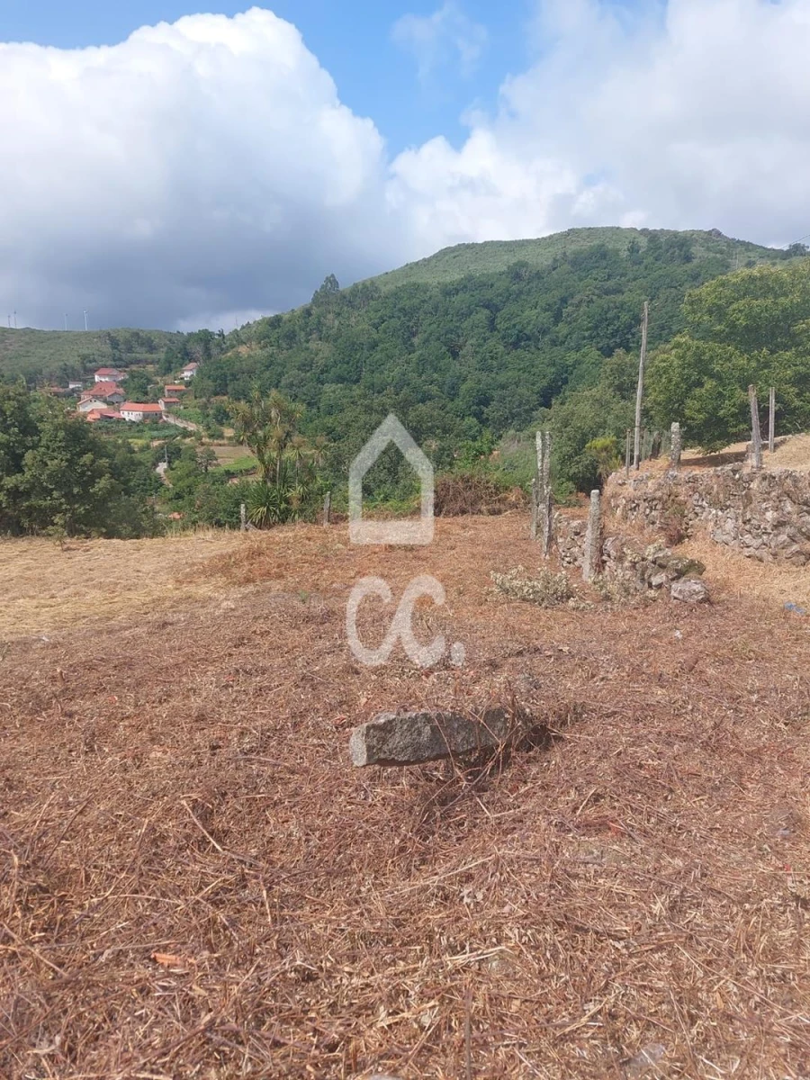 Terreno para Venda em Fornelo do Monte Foto 15