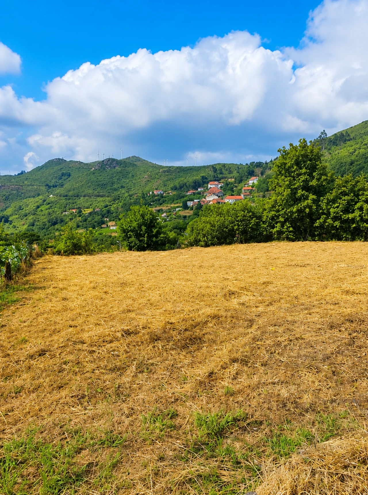 Terreno para Venda em Fornelo do Monte Foto 12
