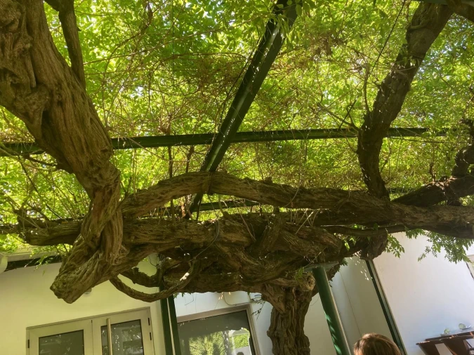 Apartamento para Venda em Avenidas Novas Foto 12