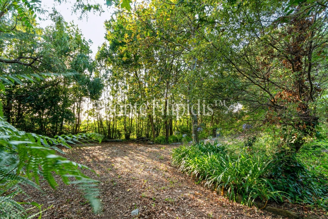 Quinta T4 para Venda em Paramos Foto 20
