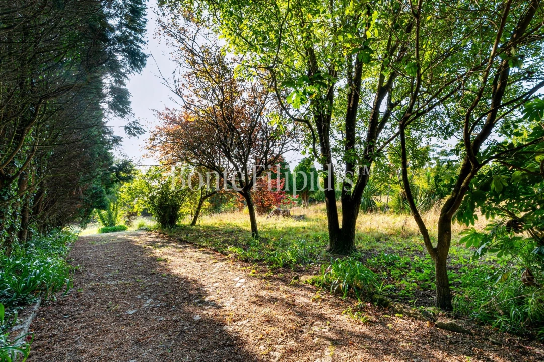 Quinta T4 para Venda em Paramos Foto 16