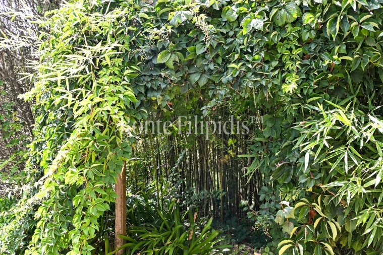 Quinta T4 para Venda em Paramos Foto 23