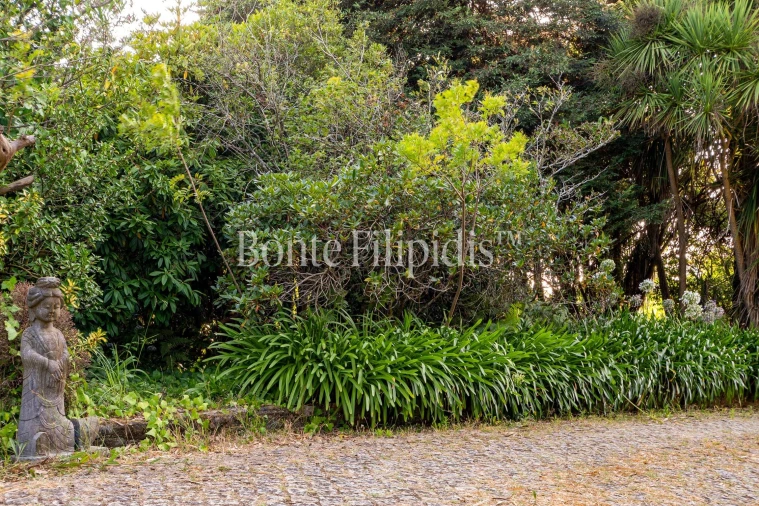 Quinta T4 para Venda em Paramos Foto 15