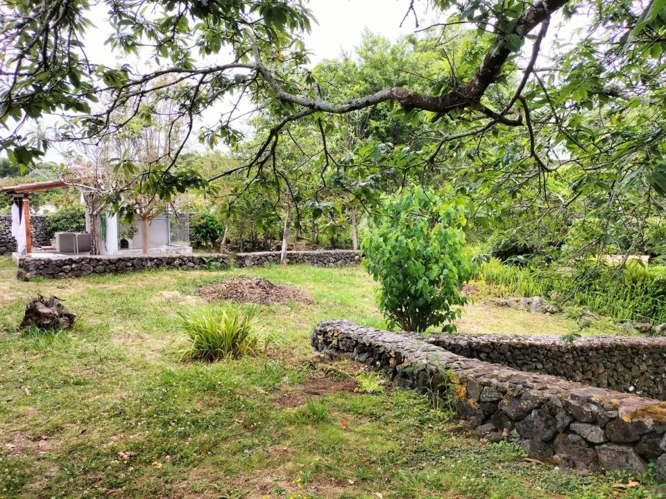 Moradia T4 para Venda em São Mateus da Calheta Foto 59