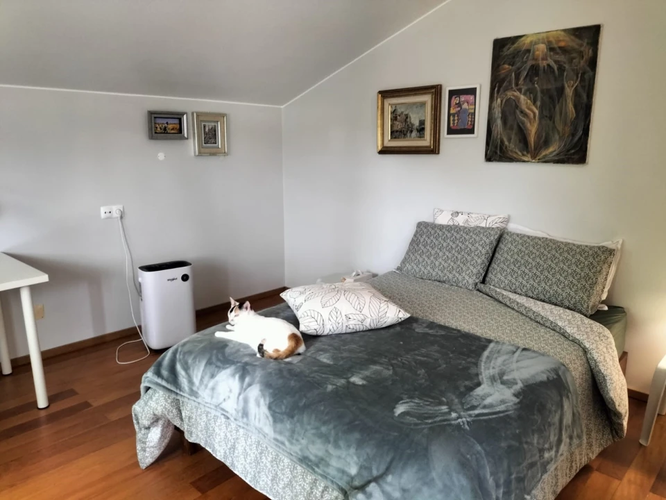 Moradia T4 para Venda em São Mateus da Calheta Foto 44