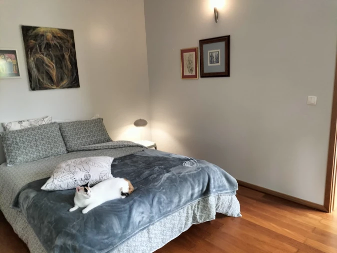 Moradia T4 para Venda em São Mateus da Calheta Foto 45