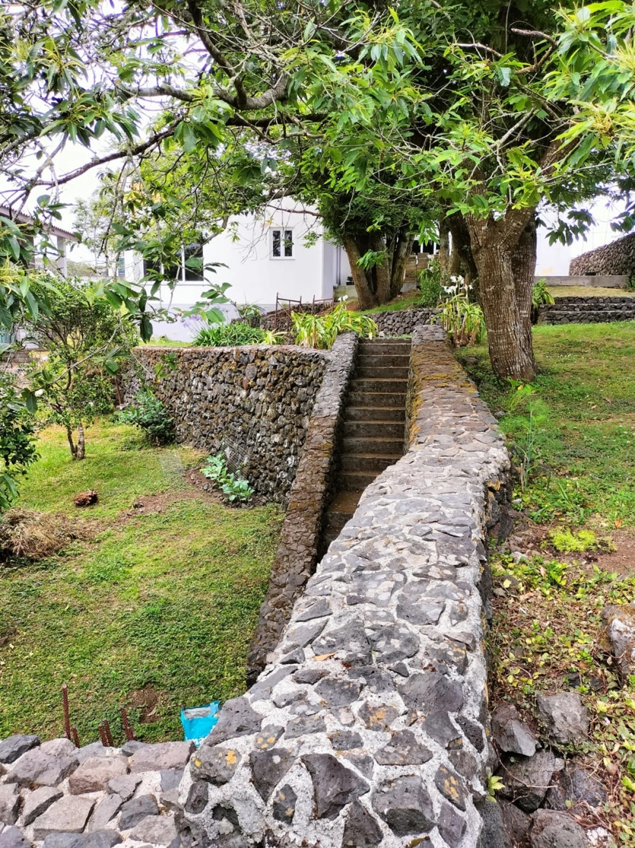 Moradia T4 para Venda em São Mateus da Calheta Foto 18