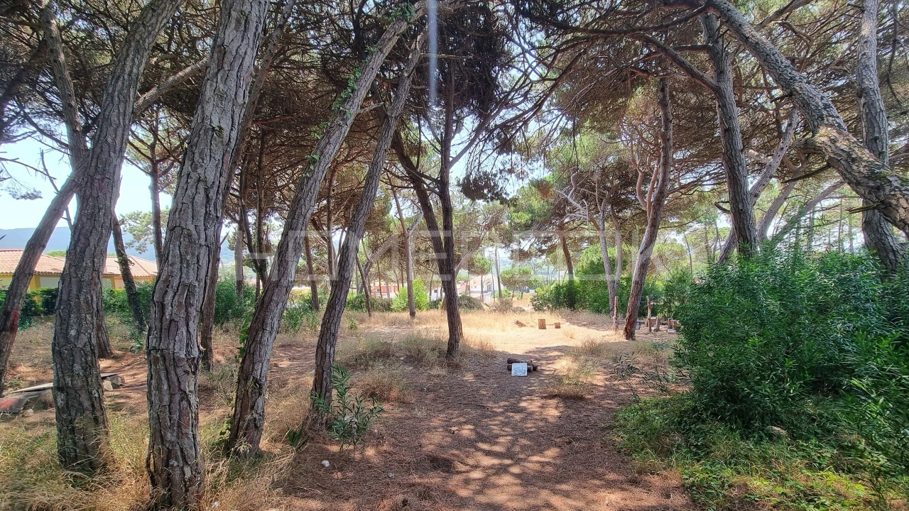 Terreno para Venda em Colares Foto 11