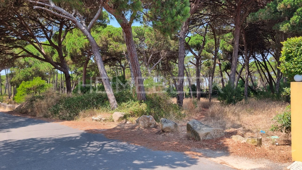 Terreno para Venda em Colares Foto 7