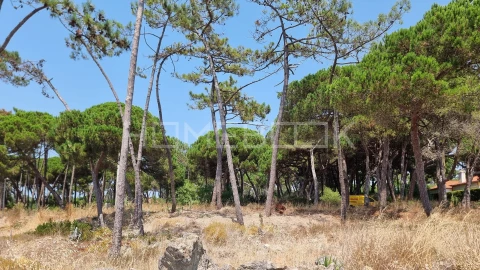 Terreno para Venda em Colares