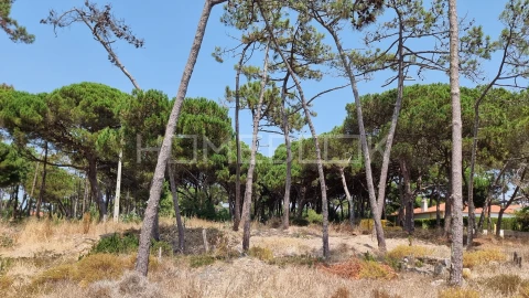 Terreno para Venda em Colares