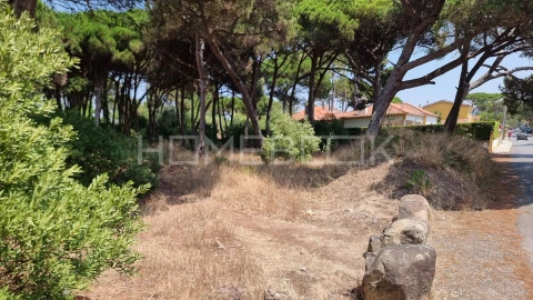 Terreno para Venda em Colares