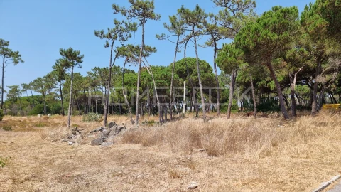 Terreno para Venda em Colares