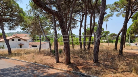 Terreno para Venda em Colares