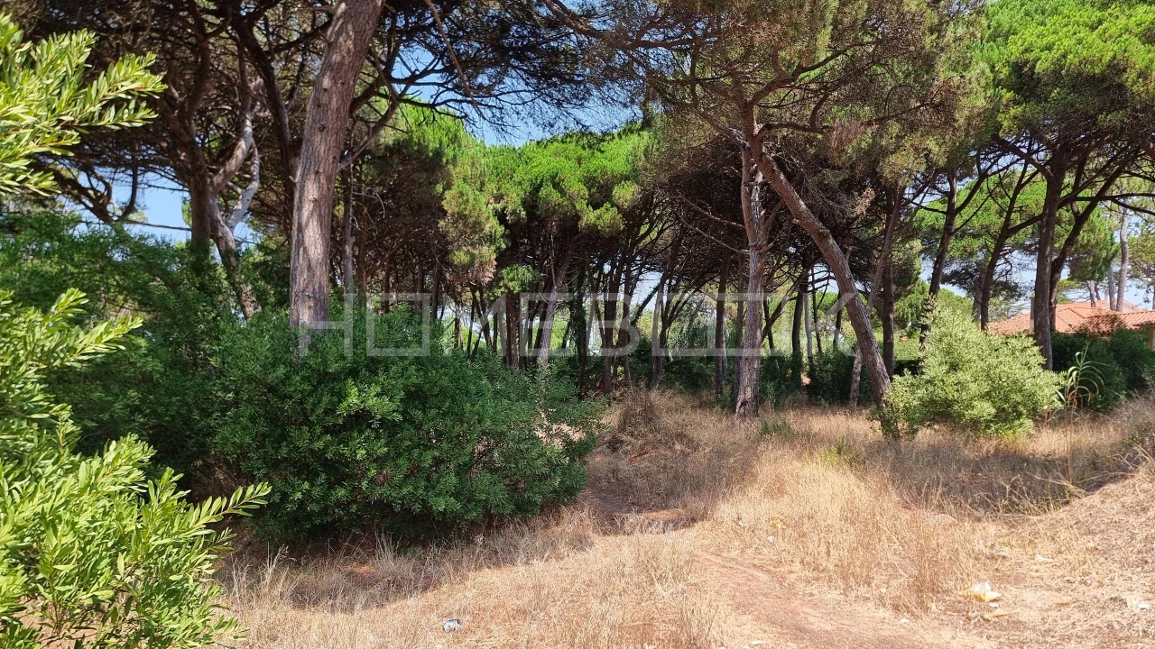 Terreno para Venda em Colares Foto 9
