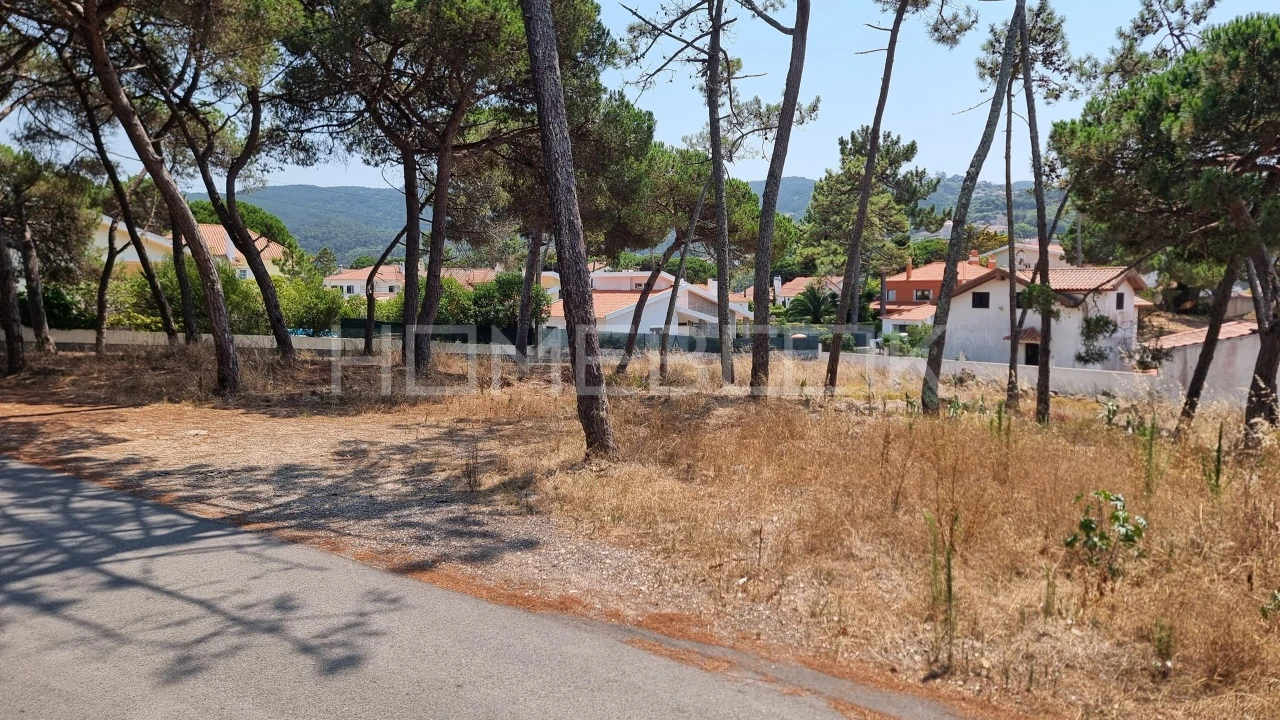 Terreno para Venda em Colares Foto 1