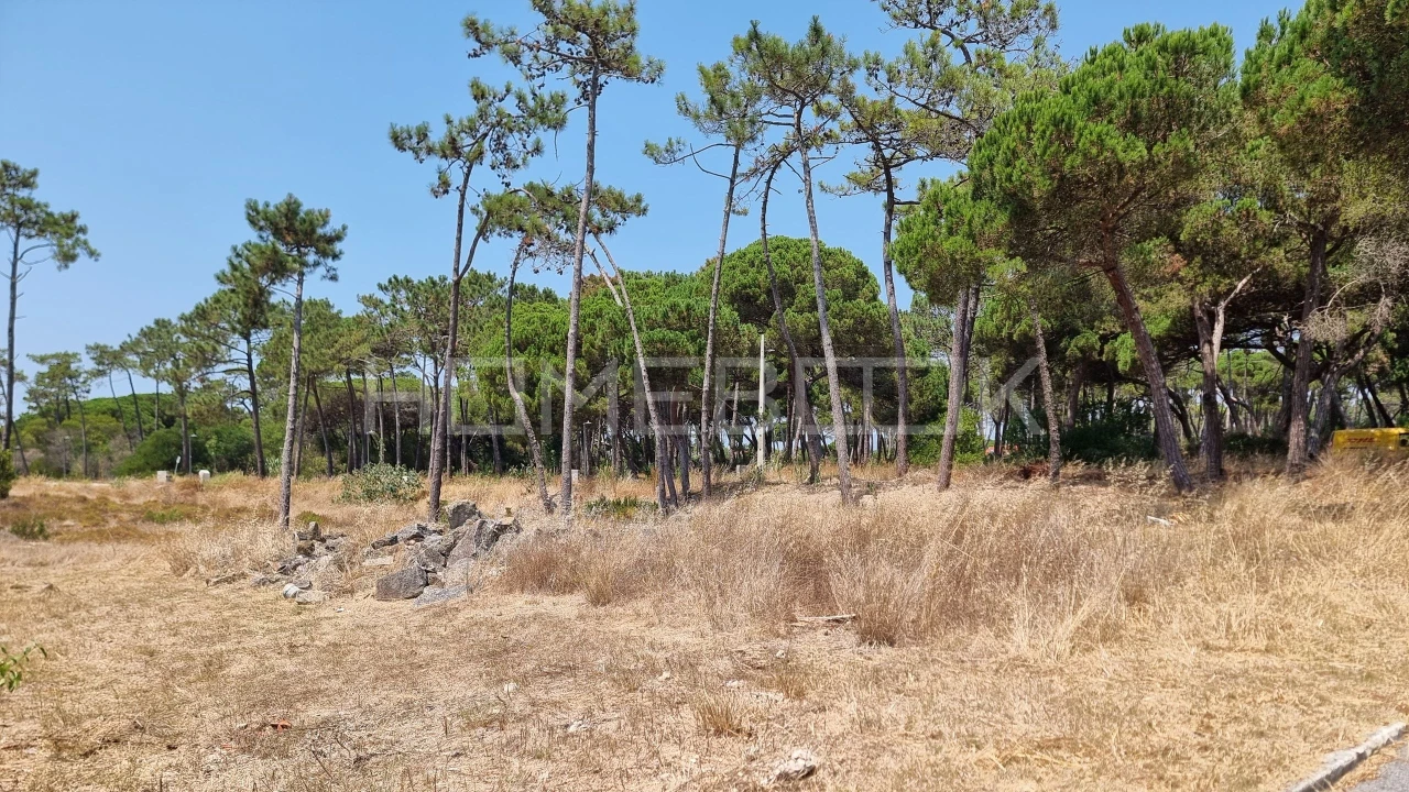 Terreno para Venda em Colares Foto 5