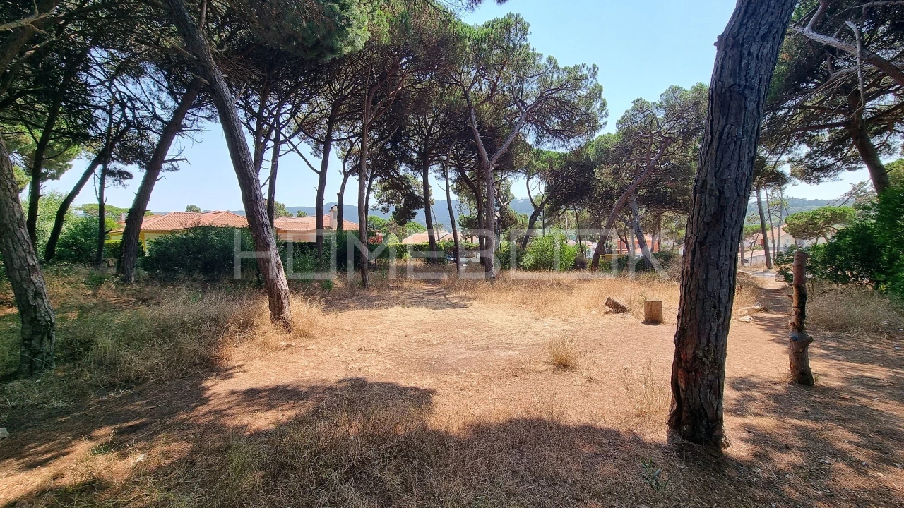 Terreno para Venda em Colares Foto 12