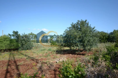 Terreno para Venda em São Bartolomeu de Messines
