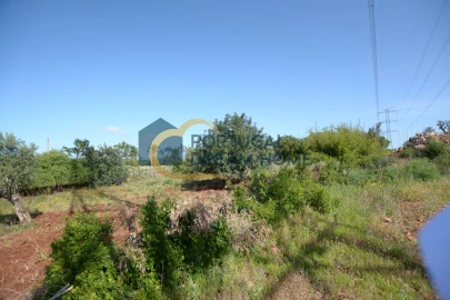 Terreno para Venda em São Bartolomeu de Messines
