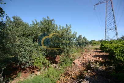 Terreno para Venda em São Bartolomeu de Messines