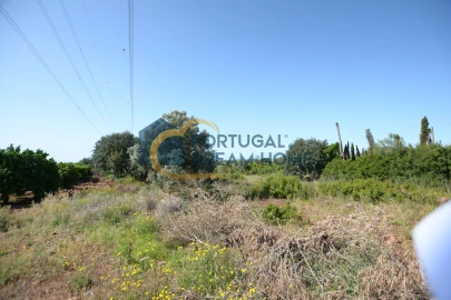 Terreno para Venda em São Bartolomeu de Messines