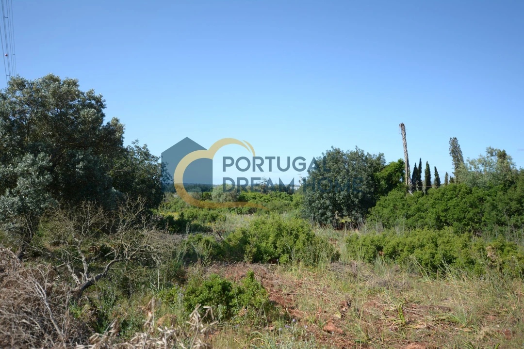 Terreno para Venda em São Bartolomeu de Messines Foto 2