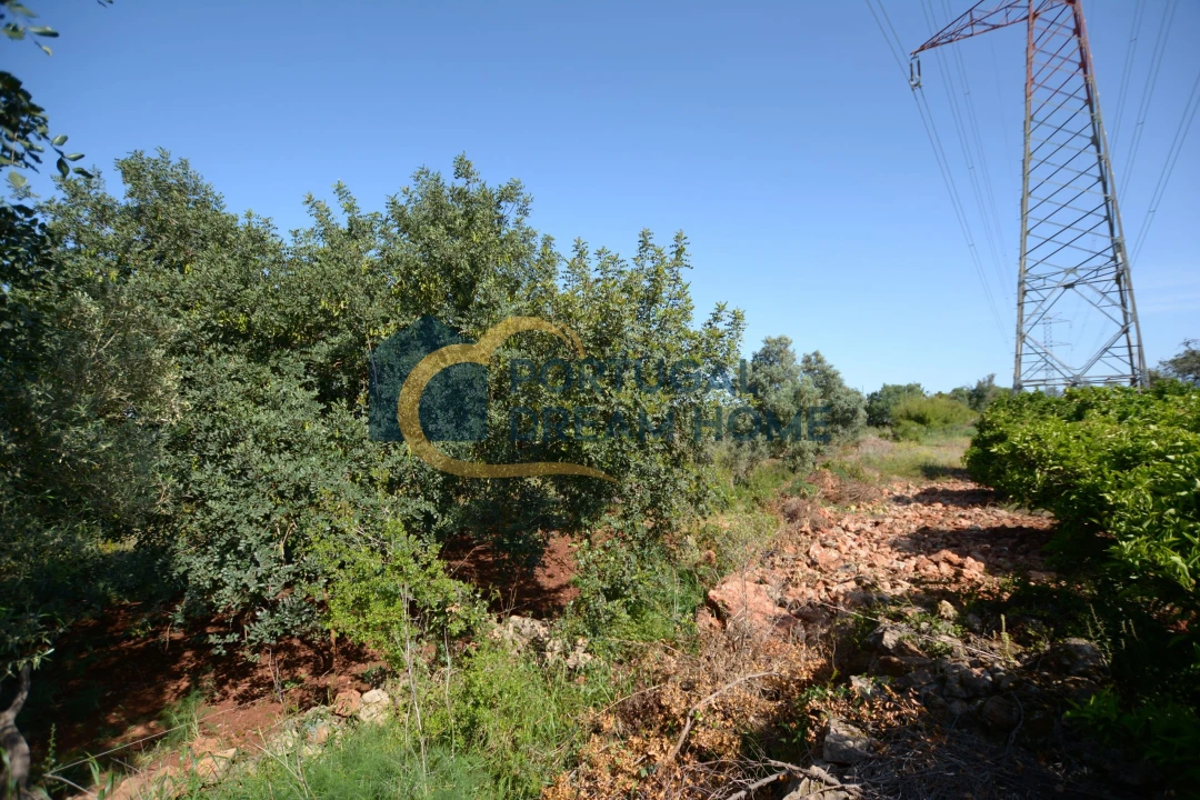 Terreno para Venda em São Bartolomeu de Messines Foto 6