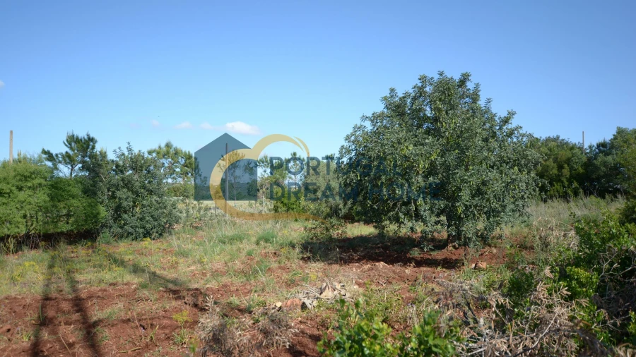 Terreno para Venda em São Bartolomeu de Messines