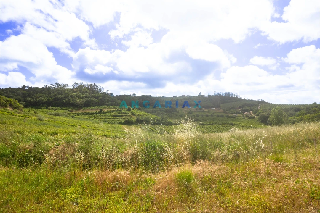Terreno para Venda em Alcobaça e Vestiaria Foto 25