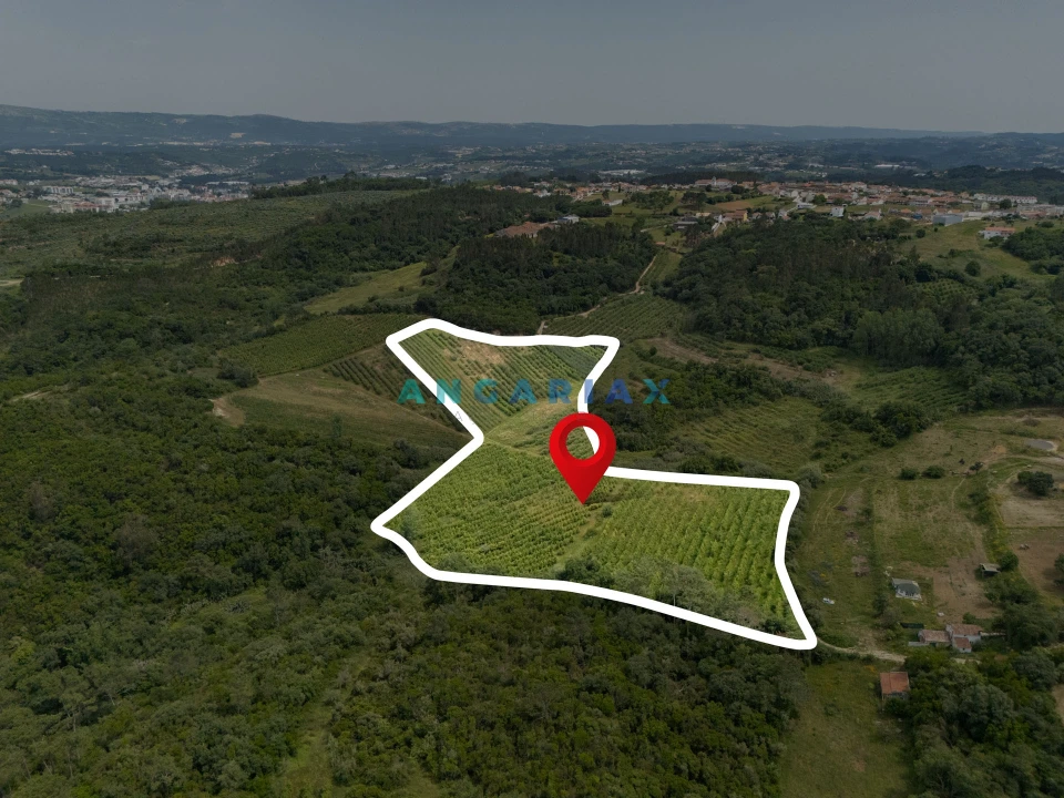 Terreno para Venda em Alcobaça e Vestiaria Foto 11