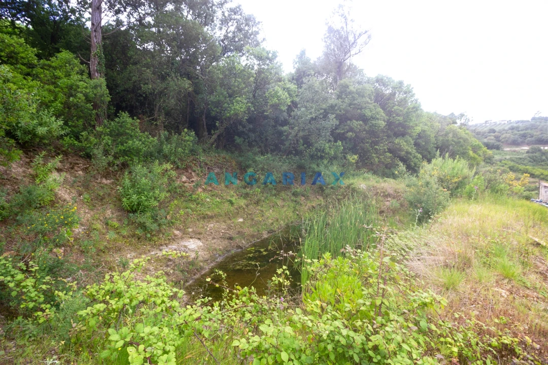 Terreno para Venda em Alcobaça e Vestiaria Foto 30