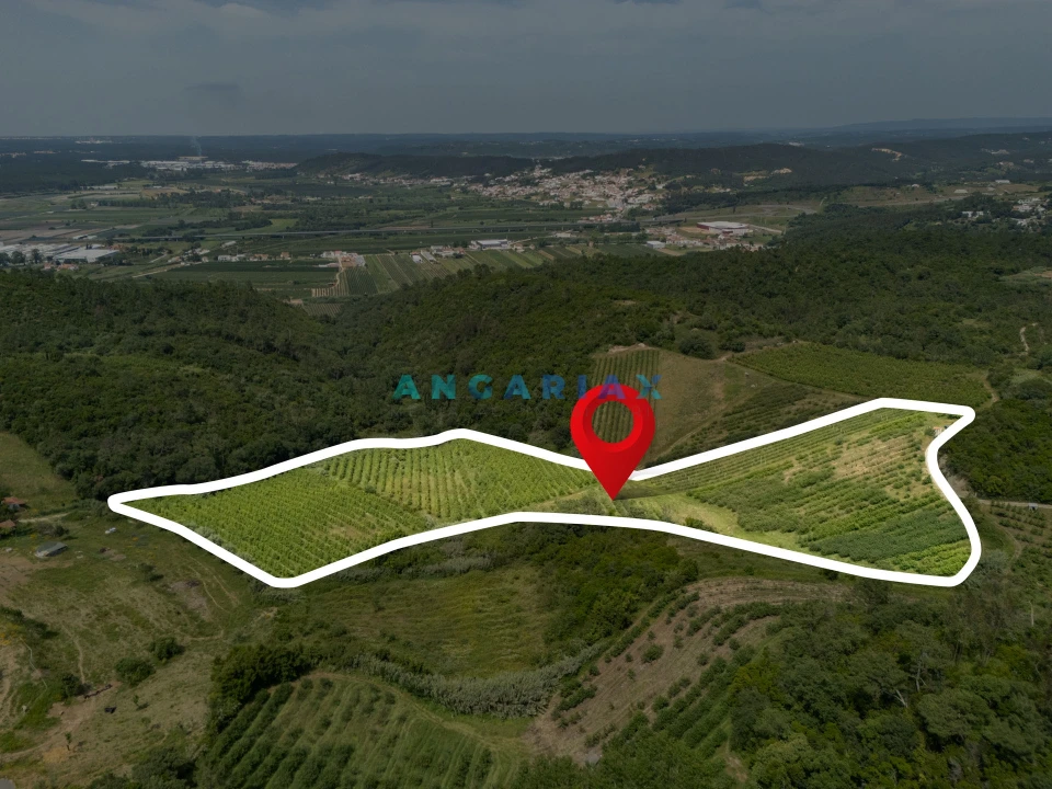 Terreno para Venda em Alcobaça e Vestiaria Foto 6