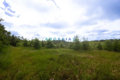 Terreno para Venda em Alcobaça e Vestiaria