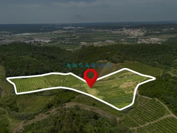 Terreno para Venda em Alcobaça e Vestiaria