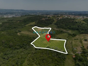 Terreno para Venda em Alcobaça e Vestiaria