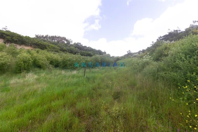 Terreno para Venda em Alcobaça e Vestiaria