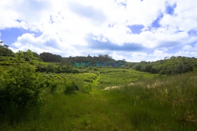 Terreno para Venda em Alcobaça e Vestiaria